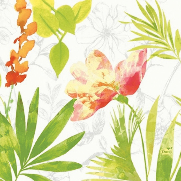 SERV 3P 33X33 SUMMER RGE X250