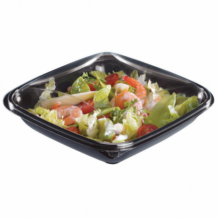 SALADIER NR+COUV 500CC X80