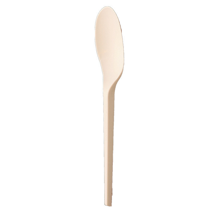 CUILLERE CPLA 170MM BLC X100