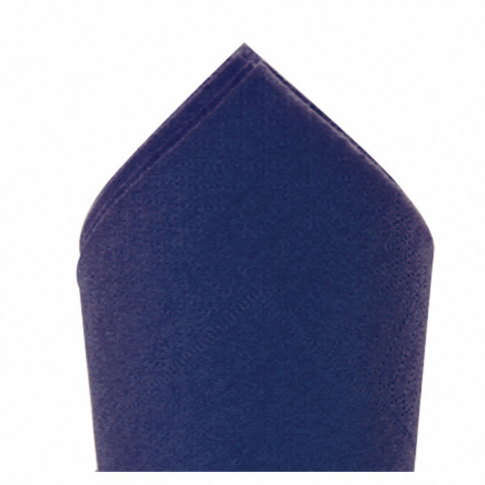 SERV 2P 30X39 BLEU VIF X100