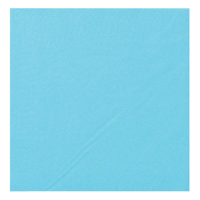 SERV 2P 20X20 TURQUOISE CGMP