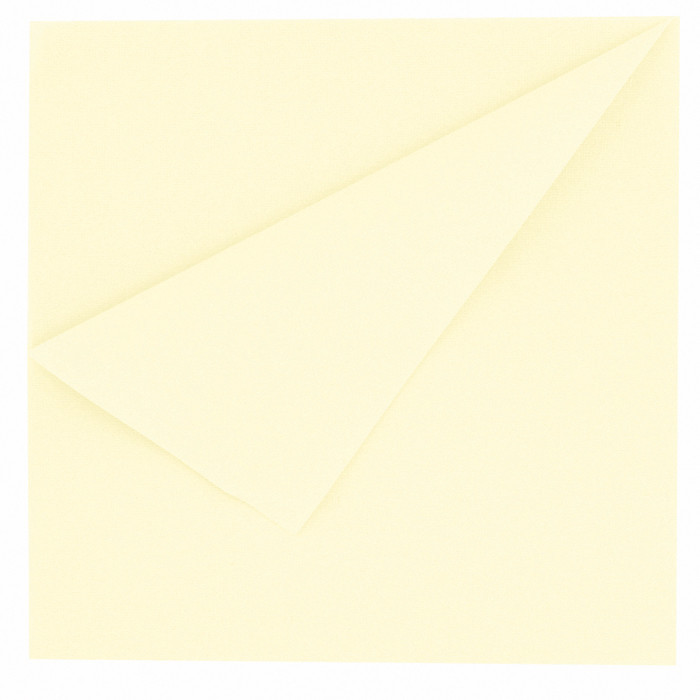 SERV AIRLAID 40X40 IVOIRE X50