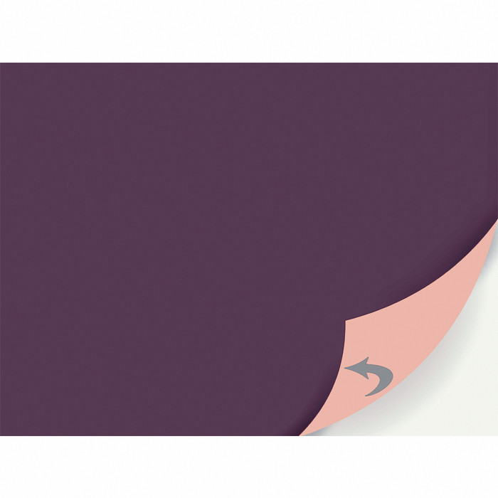 SET 30X40 PRUNE/ROSE TEND X100