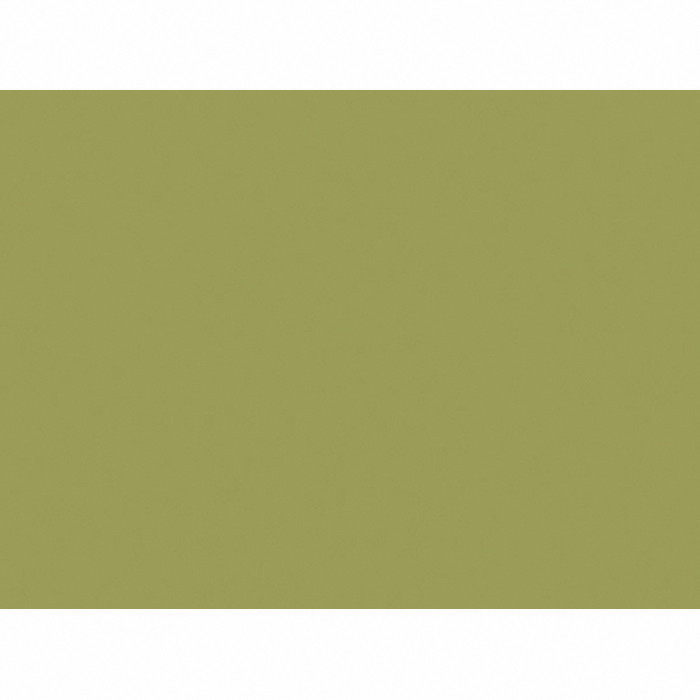 SET PAP 35X45 TILLEUL X250