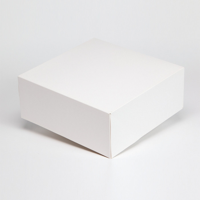 BTE PATISS 18X18H5 BLC X50