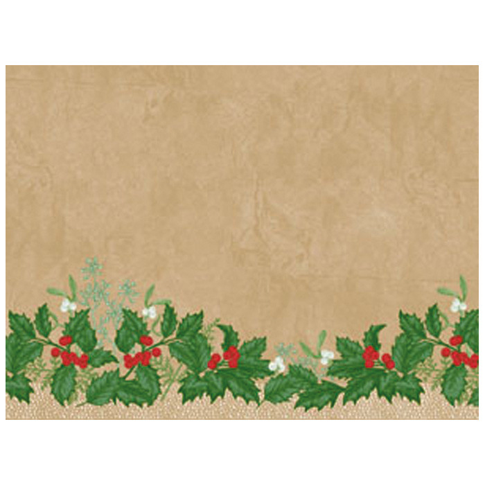 SET PAP 30X40 SNOWY BERRIEX250